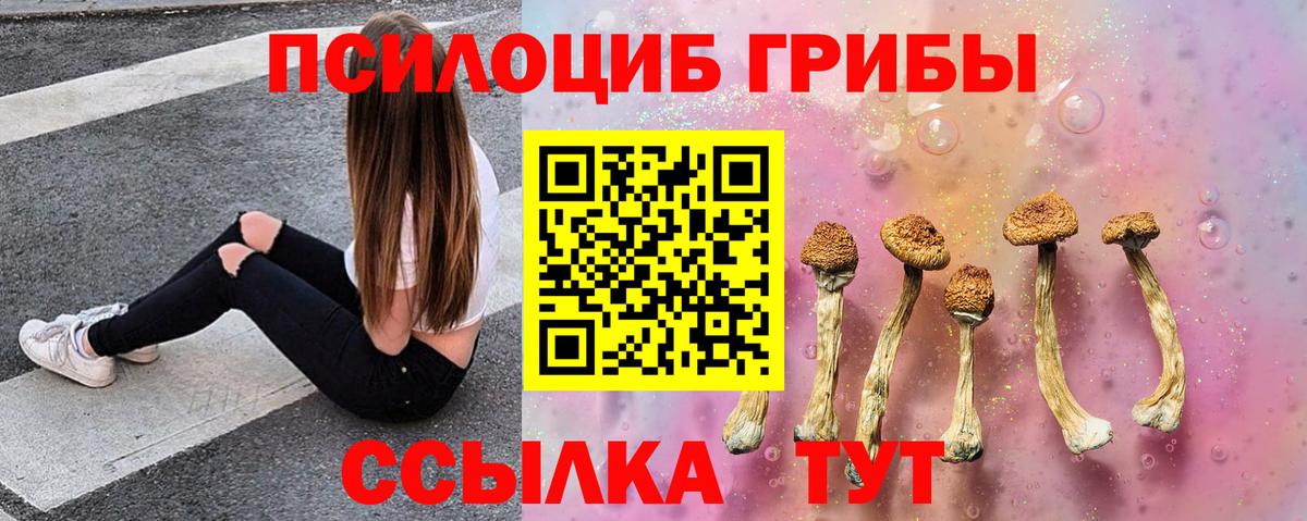 Псилоцибиновые грибы прущие грибы Менделеевск